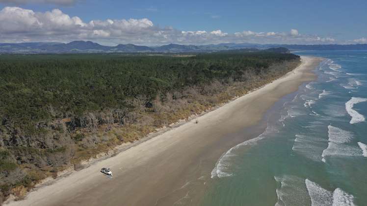 Beach Front Matakana Island_5