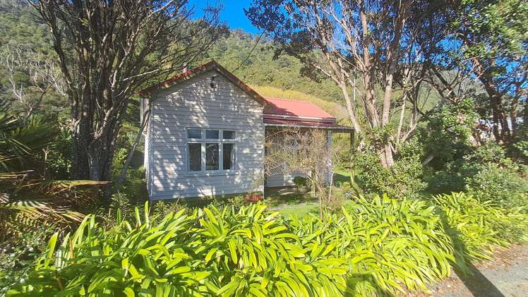84 Torea Street_2