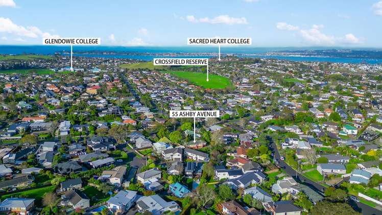 55 Ashby Avenue St Heliers_5