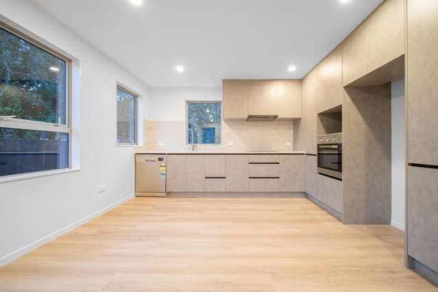 26E Trojan Crescent New Lynn_4