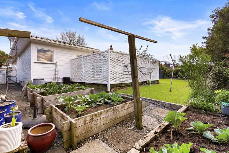 85 Glenmore Road Sunnyhills_22