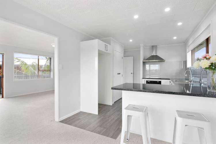 7 Maryland Street Point Chevalier_12