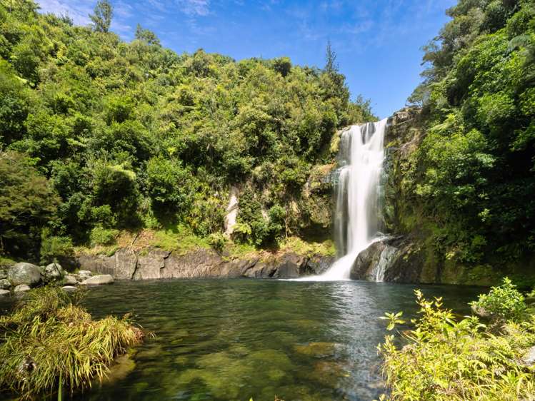 371 Esdaile Road Whakamarama_5