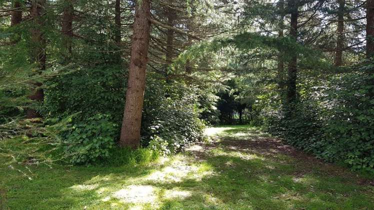 13 Gladstone Road Levin_23