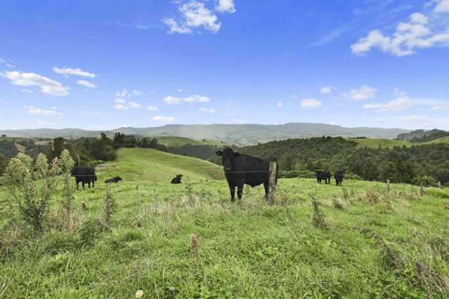 527 Barber Road Otorohanga_3