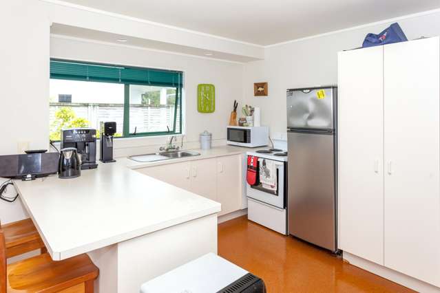 219b Mary Road Whangamata_4