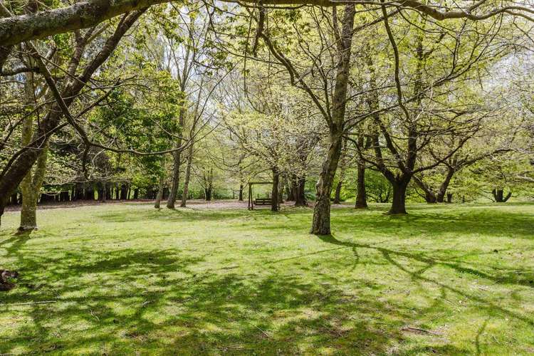 35 Third Line Norsewood_25