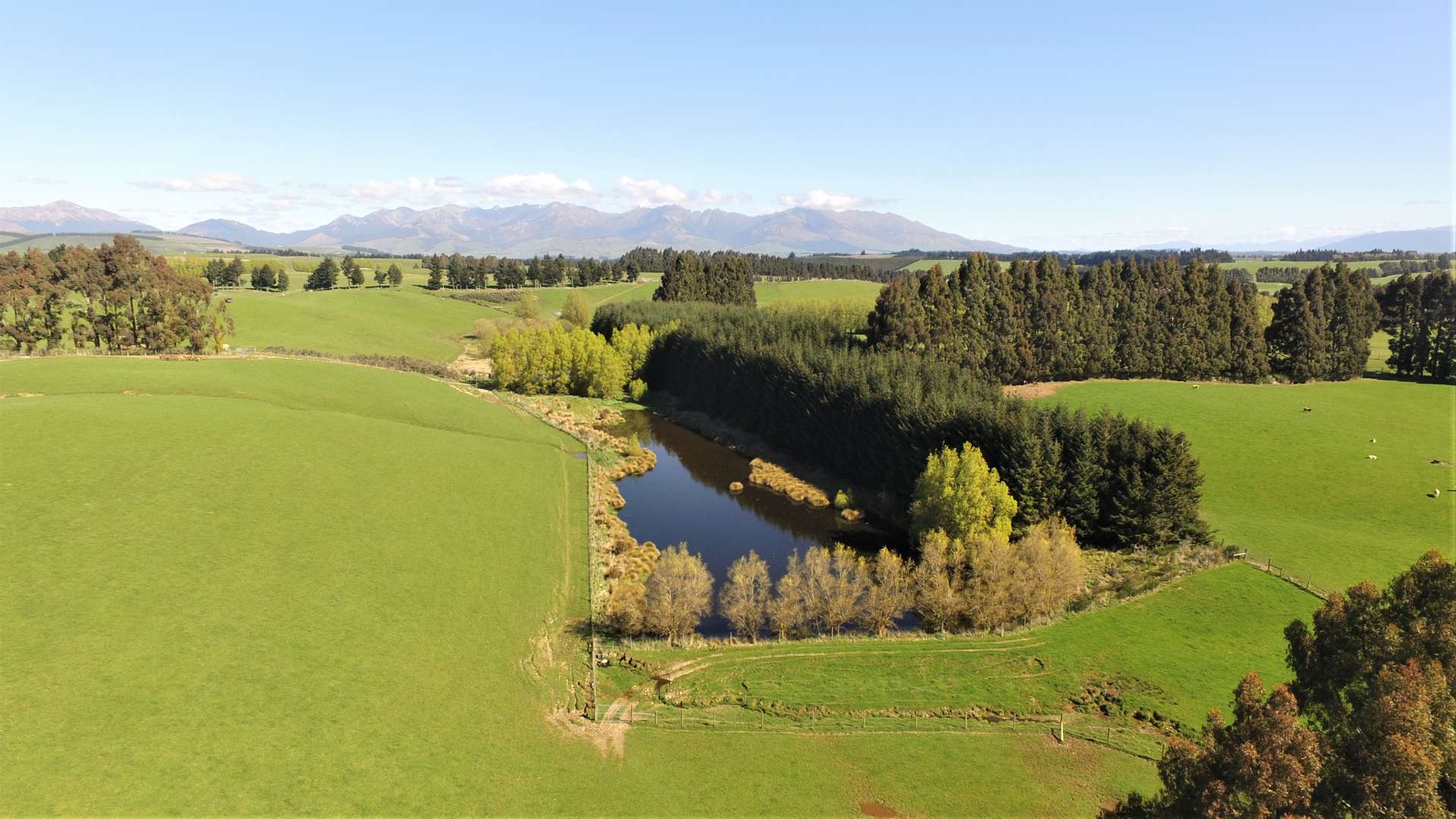 836 Wilderness Road Te Anau Surrounds_0