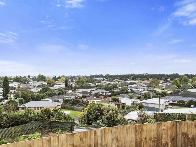 44 Waimarie Street Nawton_2