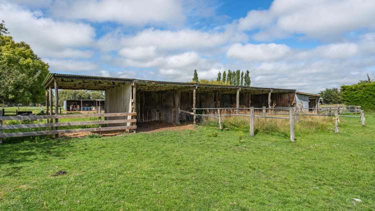 249 Plaskett Road Fernside_31