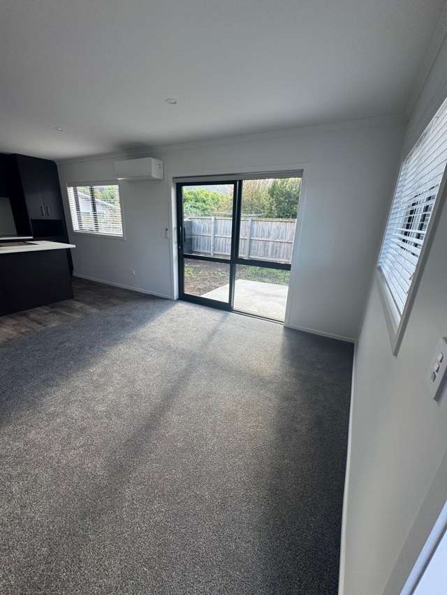 17a Edward Street Ngaruawahia_3