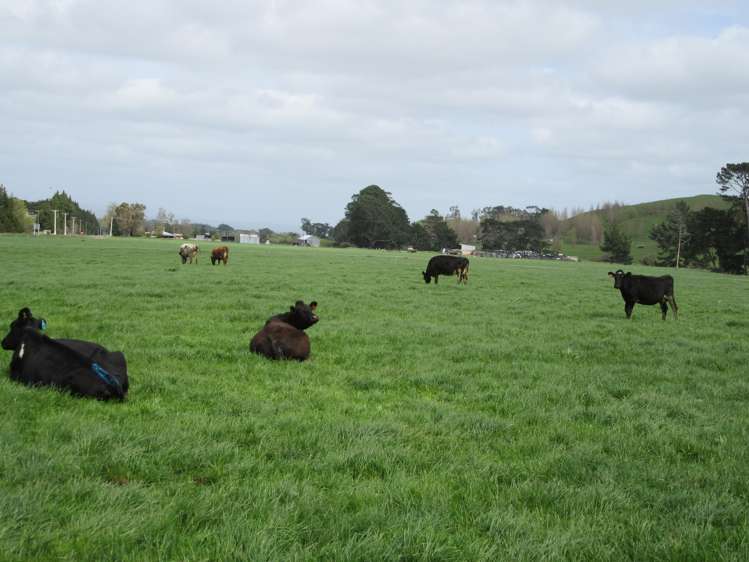 76412 State Highway 2 Rangitikei Surrounds_13