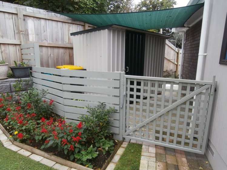 428b Thames Street Morrinsville_13