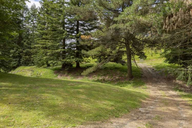 491 State Highway Five Wairakei_10