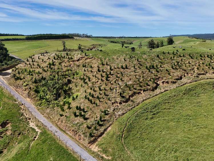 530 Soldiers Road Lower Kaimai_7