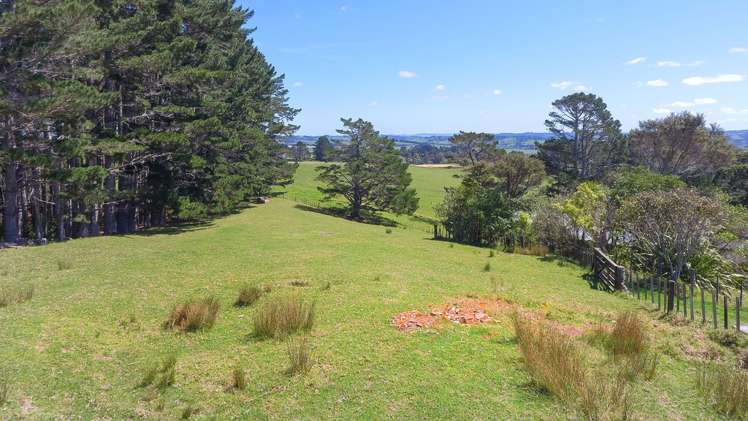 399 Horseshoe Bush Road Dairy Flat_16