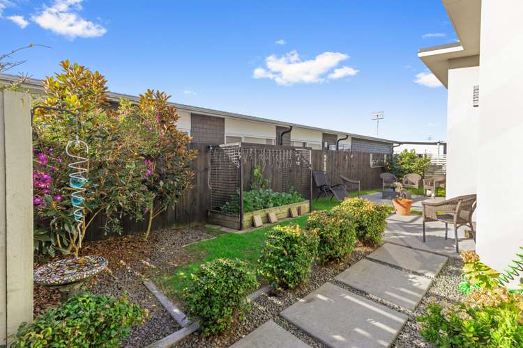 6 Toetoe Street Papamoa_9