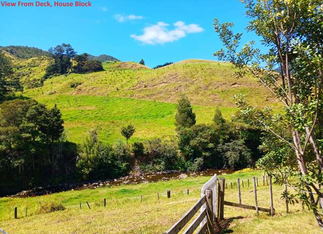 269 Takahue Saddle Road Takahue_3