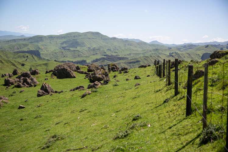 1921 Weber Road Dannevirke_11