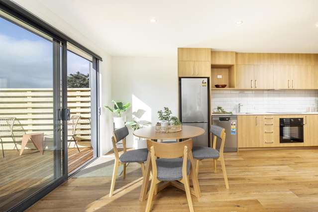 155 Tomahawk Road Andersons Bay_3
