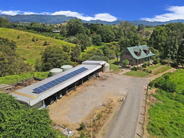 80A Wainui South Road Whakamarama_2