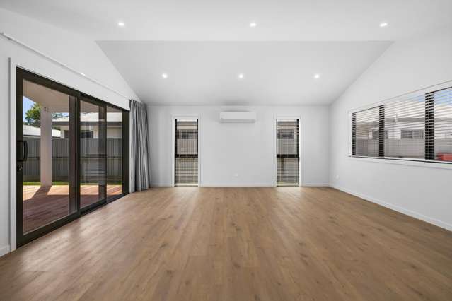 205a Guppy Road Taradale_1