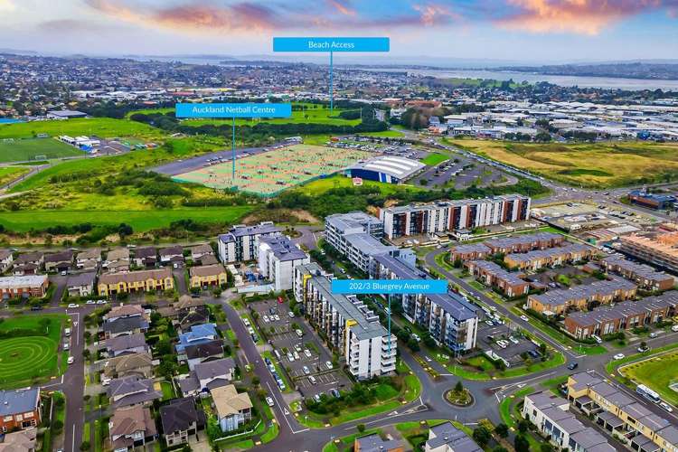 202/3 Bluegrey Avenue Stonefields_28