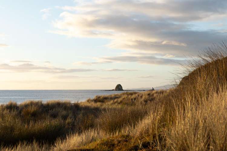 24 Tangaroa Road Mangawhai Heads_3