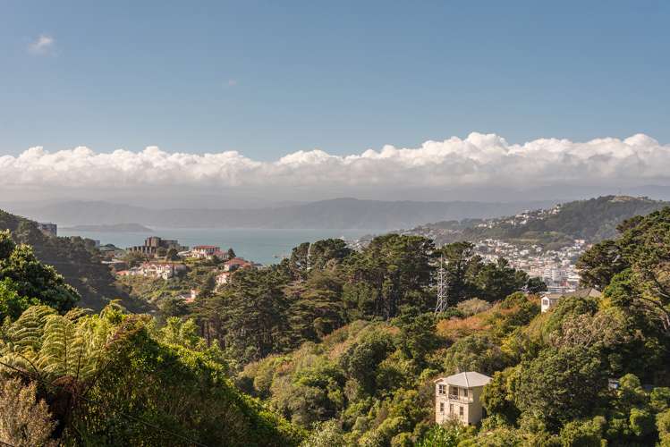 48 Mount Pleasant Road Aro Valley_14