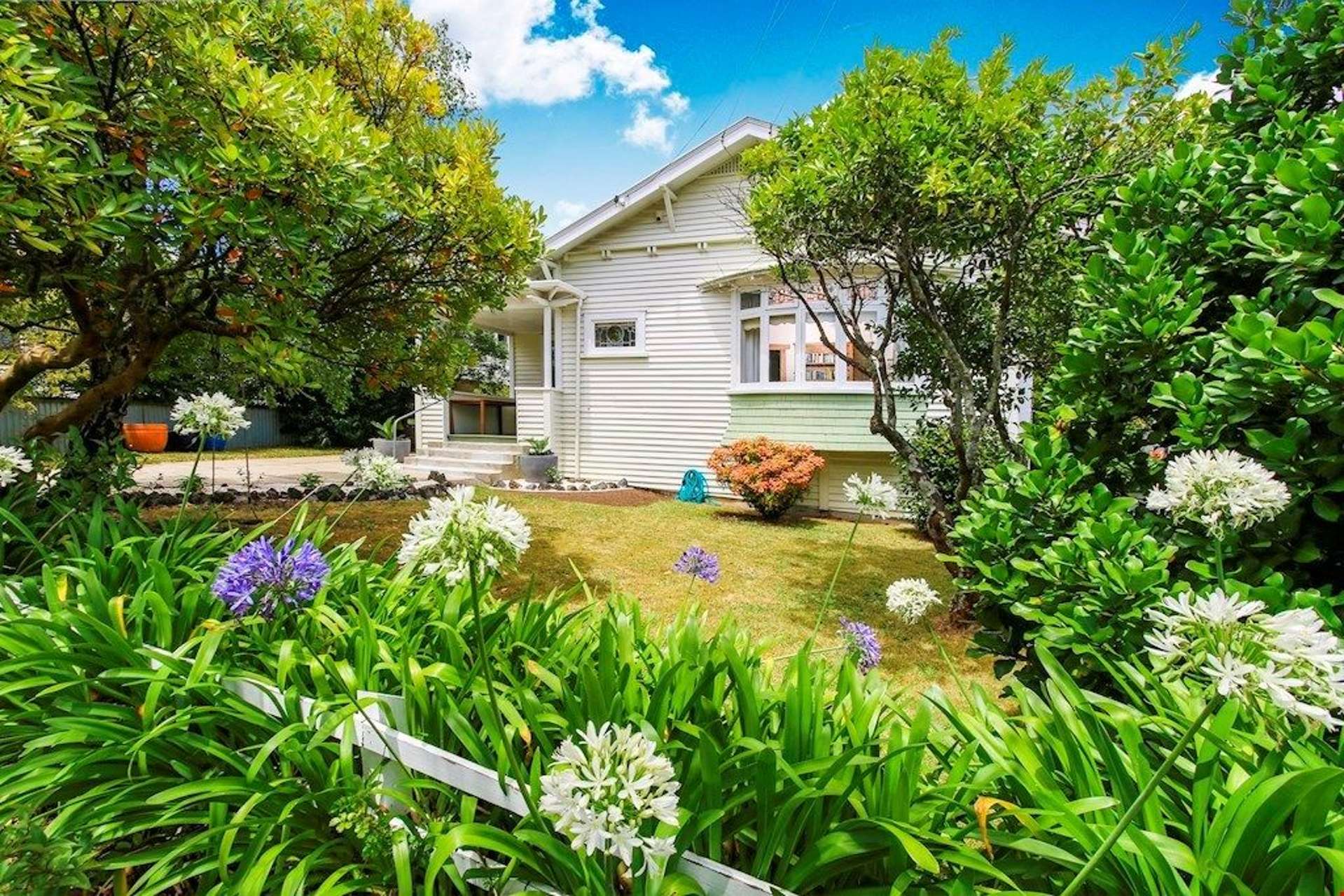 22 Douglas Road Mount Eden_0