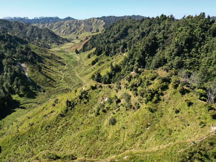 900 Okoki Road Okoki_10