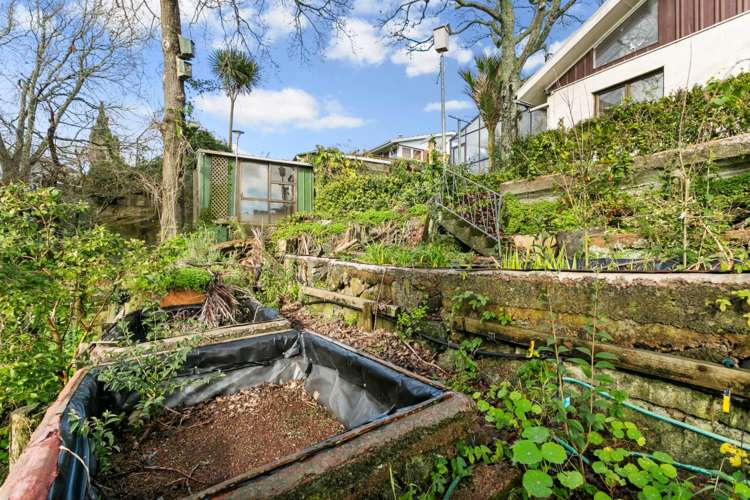 57 Meadowbank Road Meadowbank_16