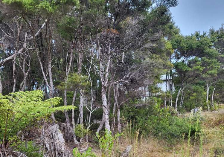 10 Wilson Avenue Kawau Island_11
