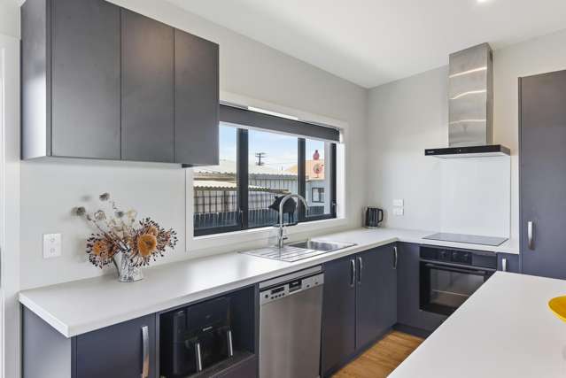 33A Keepa Street Levin_1