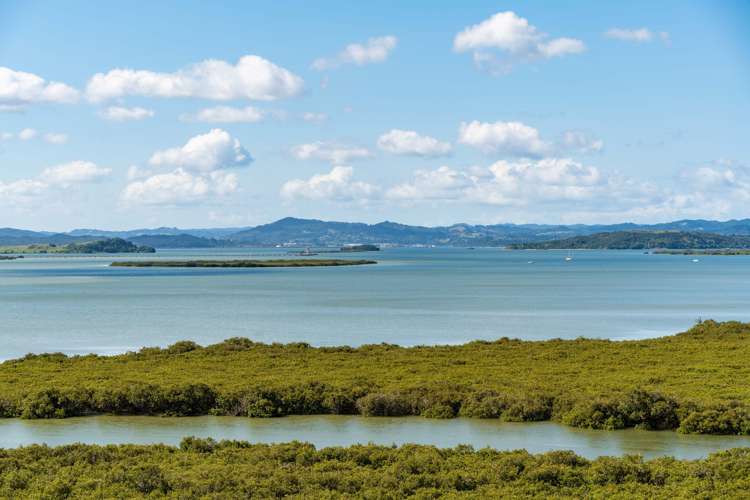 174 Gilbert Road Whangarei_2