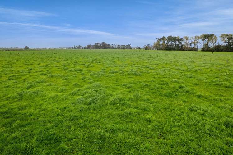 0n Turangi Road Upper Motunui_9