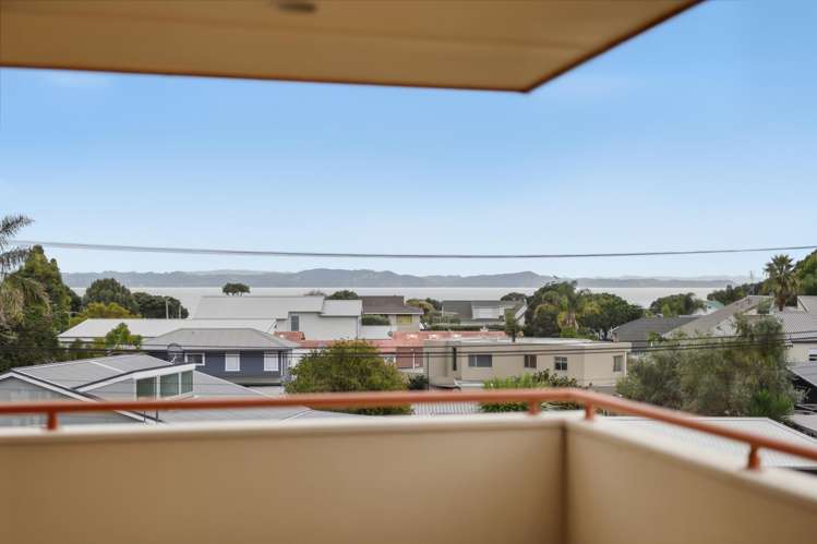 3A Brown Street Manly_14
