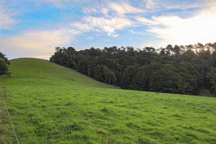 52 Kopuku Road Waerenga_5