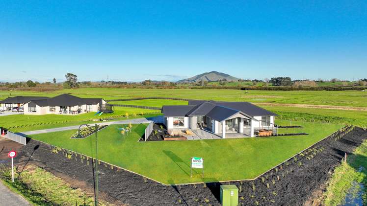 46 Sherwin Street Pirongia_8