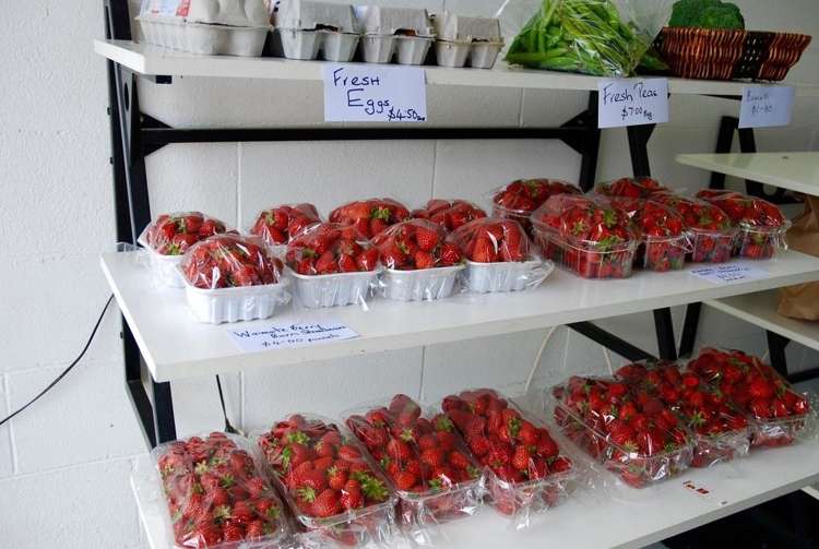 134 Timaru Road Waimate_11