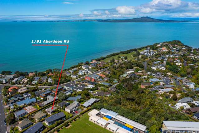 1/91 Aberdeen Road Castor Bay_1