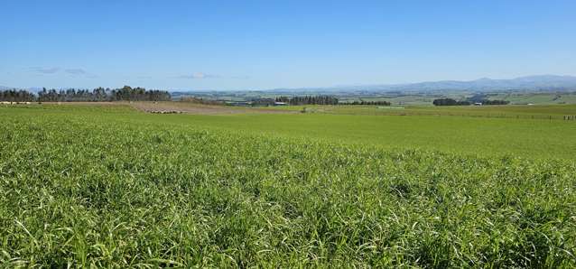 169 Charters Road Waikoikoi_1