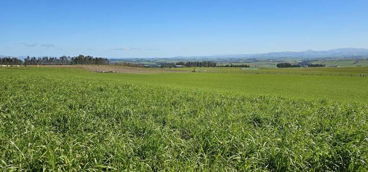 169 Charters Road Waikoikoi_1