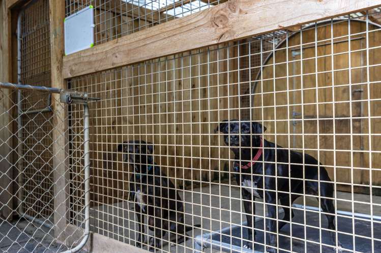 2 Cowan Bay Road Warkworth_41