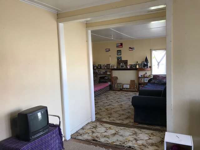 22 Te Kumi Road Te Kuiti_3