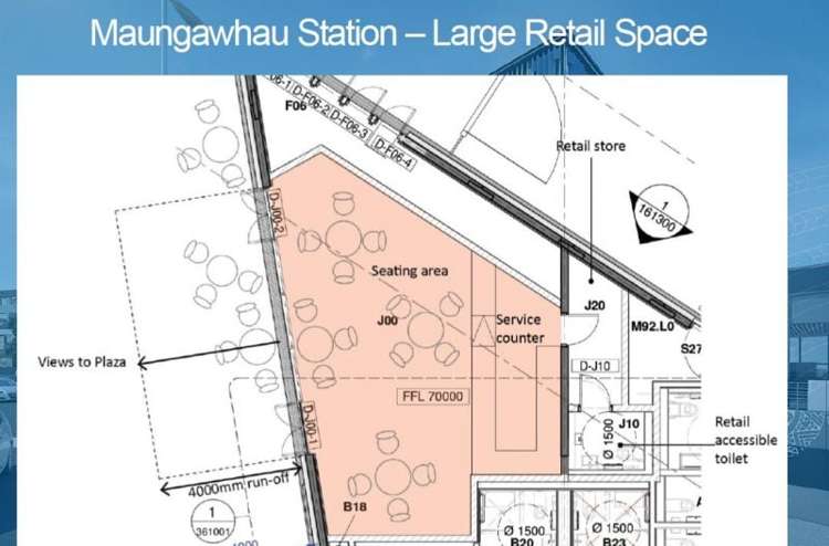 21 Ruru Street Eden Terrace_8