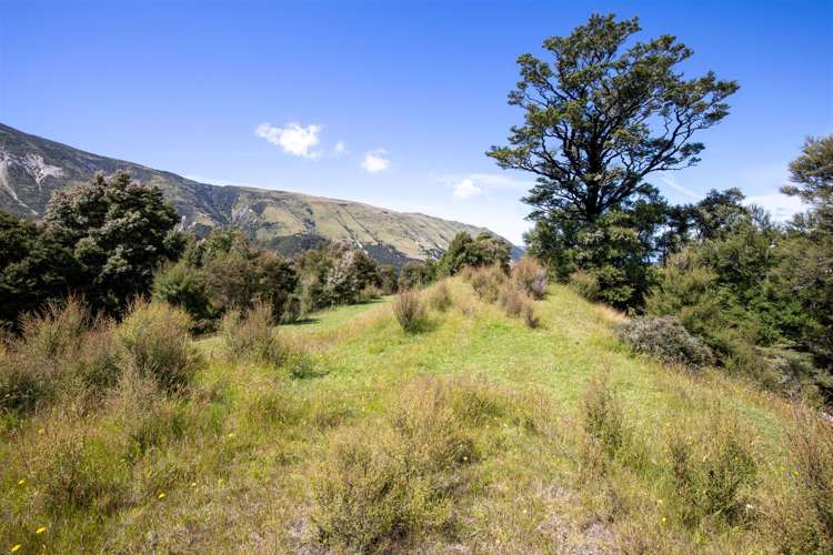 1178 Puhi Puhi Road Puhi Puhi_14