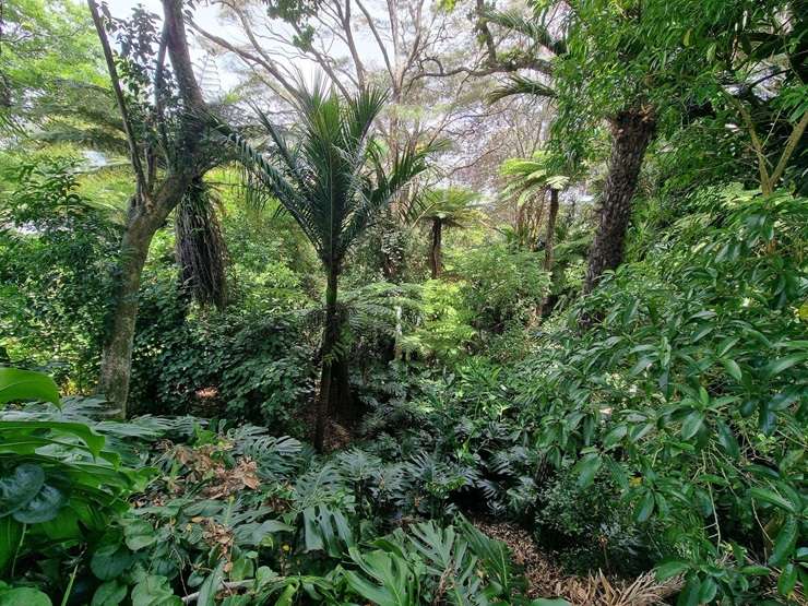 The mysterious-looking property for sale at 47 Seaview Road, in Auckland's Remuera, has been likened to an Indiana Jones movie set. Photo / Supplied, Paramount