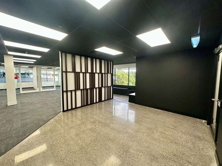 9A Hargreaves Street Freemans Bay_2