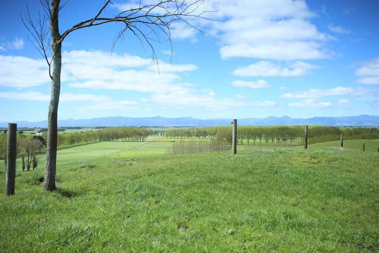 399 Mahuta Road Mangatarata_1